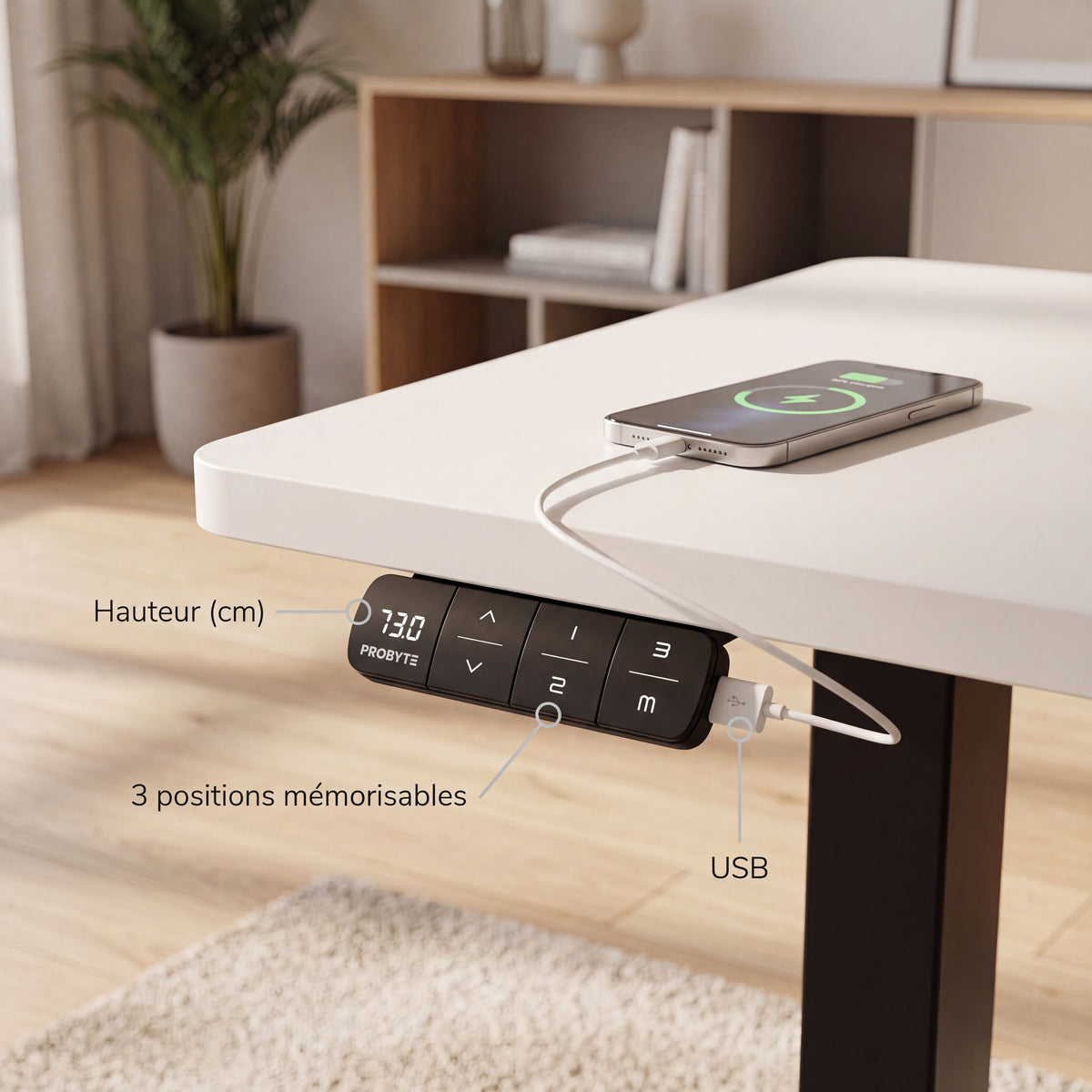 Bureau assis debout ElevateOne