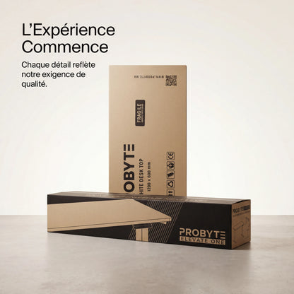 Bureau assis debout ElevateOne